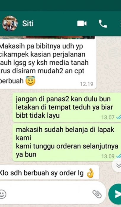 Bibit Durian Testimoni
